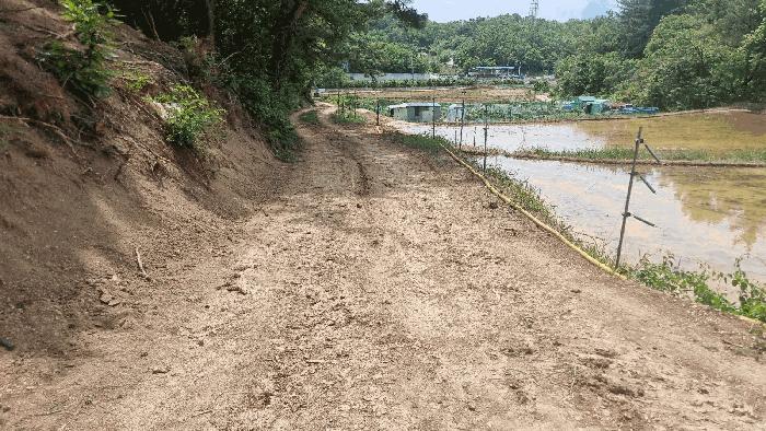 법원경매 2025타경362 사진6 | 포항시 남구 연일읍 학전리 임야 경매