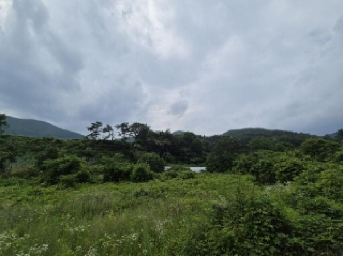 법원경매 2025타경397 사진11 | 포항시 북구 죽장면 상옥리 614 답 경매