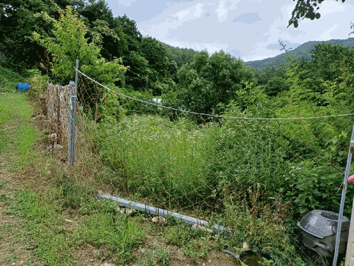법원경매 2025타경397 사진2 | 포항시 북구 죽장면 상옥리 614 답 경매