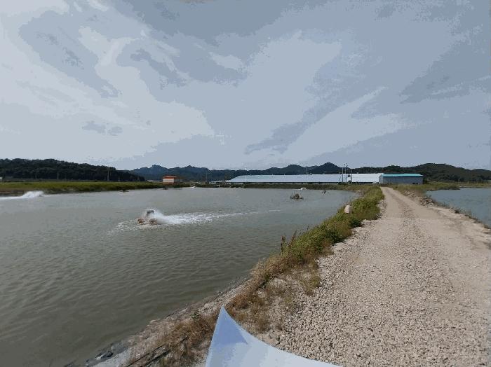 2025타경247 법원경매 사진4 | 전북 부안군 임야 경매