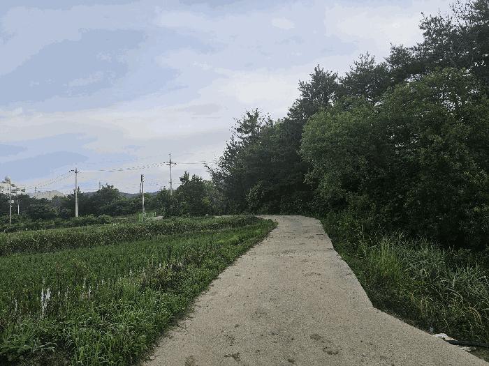 법원경매 2025타경3846 사진3 | 포항시 북구 흥해읍 덕장리 956-4 답 경매
