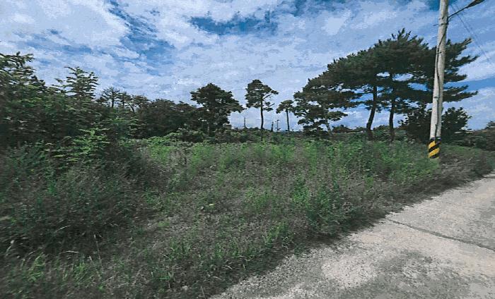 법원경매 2025타경3866 사진2 | 포항시 남구 오천읍 세계리 698-4 과수원 경매