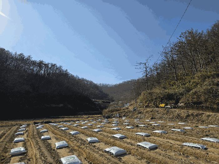 경상북도 포항시 남구 동해면 중흥리 104 법원경매 물건 대표사진