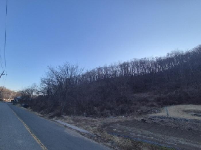 법원경매 2025타경243 사진11 | 포항시 남구 동해면 중흥리 104 답 경매