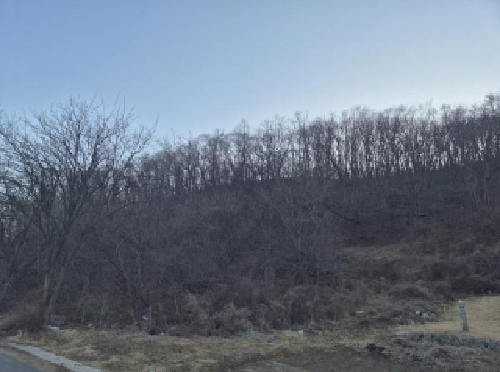 법원경매 2025타경243 사진12 | 포항시 남구 동해면 중흥리 104 답 경매