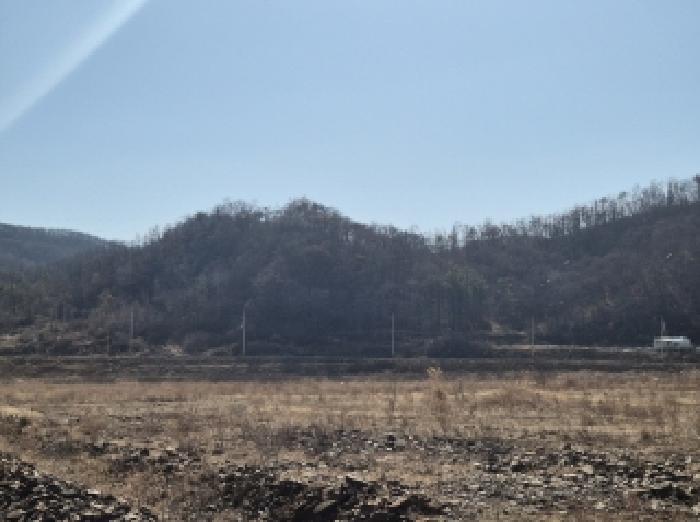 법원경매 2025타경243 사진9 | 포항시 남구 동해면 중흥리 104 답 경매