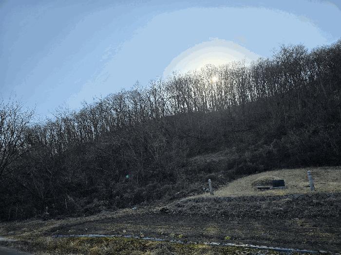 법원경매 2025타경243 사진2 | 포항시 남구 장기면 학곡리 임야 경매
