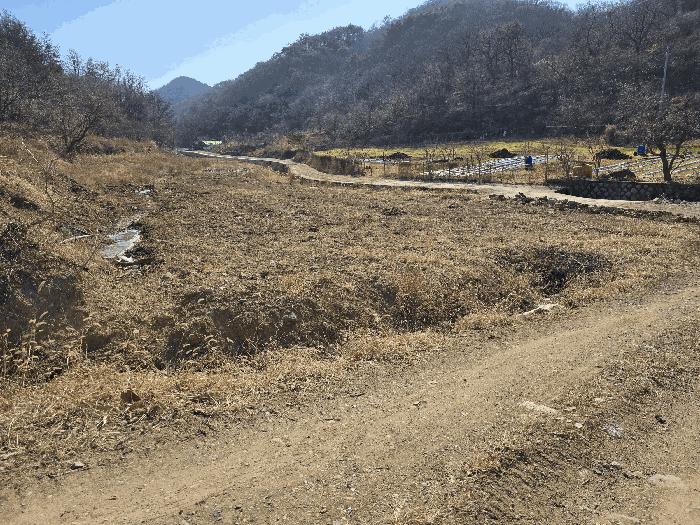 법원경매 2025타경243 사진3 | 포항시 남구 장기면 학곡리 임야 경매