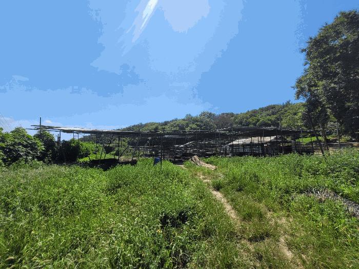 법원경매 2025타경285 사진7 | 포항시 북구 신광면 안덕리 955 답 경매
