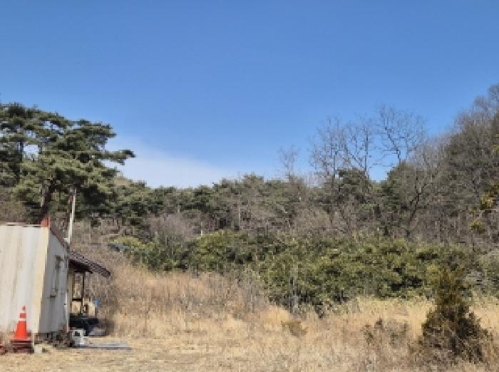 법원경매 2025타경3585 사진3 | 포항시 남구 오천읍 문덕리 임야 경매