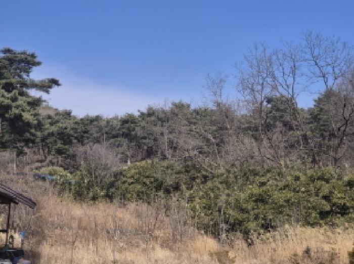 법원경매 2025타경3585 사진4 | 포항시 남구 오천읍 문덕리 임야 경매