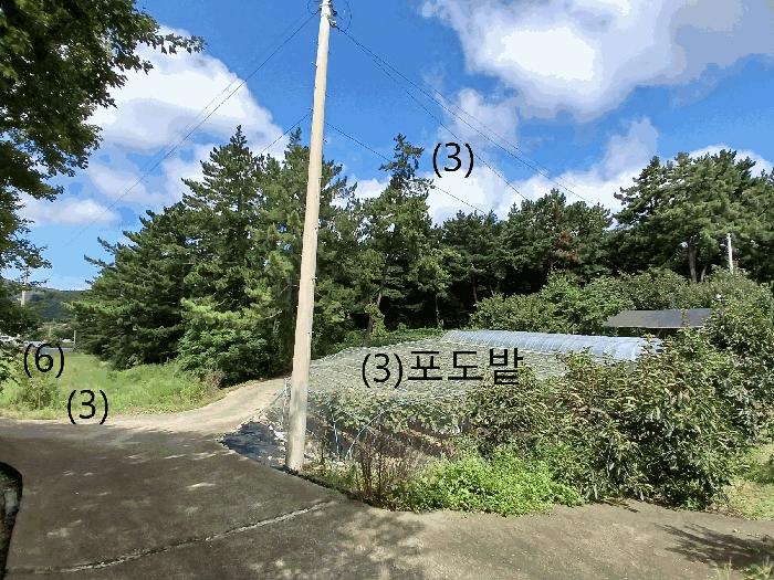 2025타경51378 법원경매 사진4 | 전남 무안군 전 경매