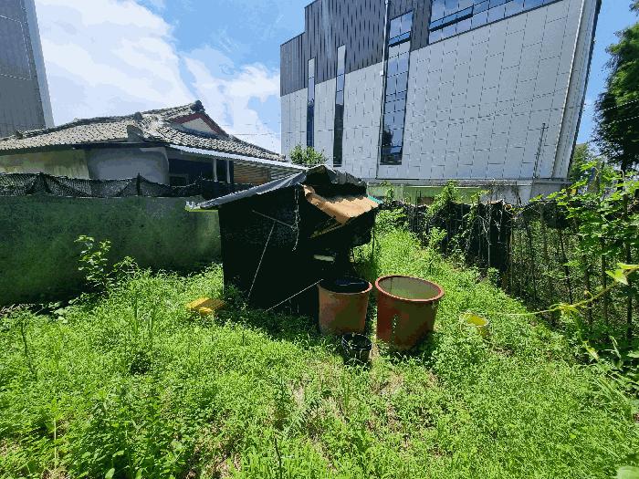 2025타경31322 법원경매 사진3 | 전주 완산구 임야 경매