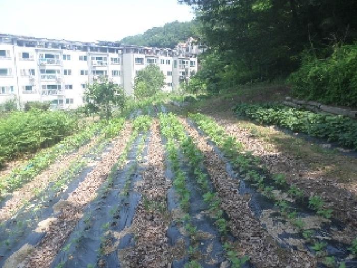 2025타경31322 법원경매 사진44 | 전주 완산구 임야 경매