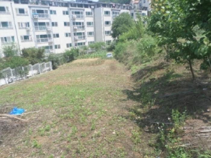 2025타경31322 법원경매 사진45 | 전주 완산구 임야 경매