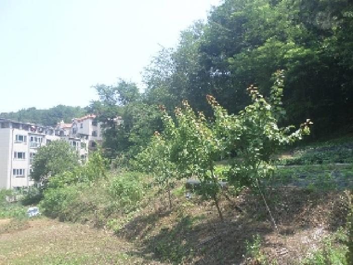 2025타경31322 법원경매 사진48 | 전주 완산구 임야 경매