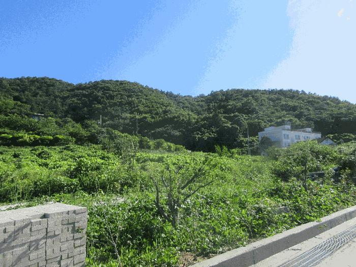 2025타경528 법원경매 사진2 | 전남 여수시 전 경매