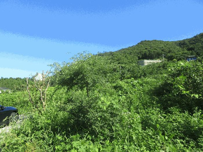 2025타경528 법원경매 사진4 | 전남 여수시 전 경매