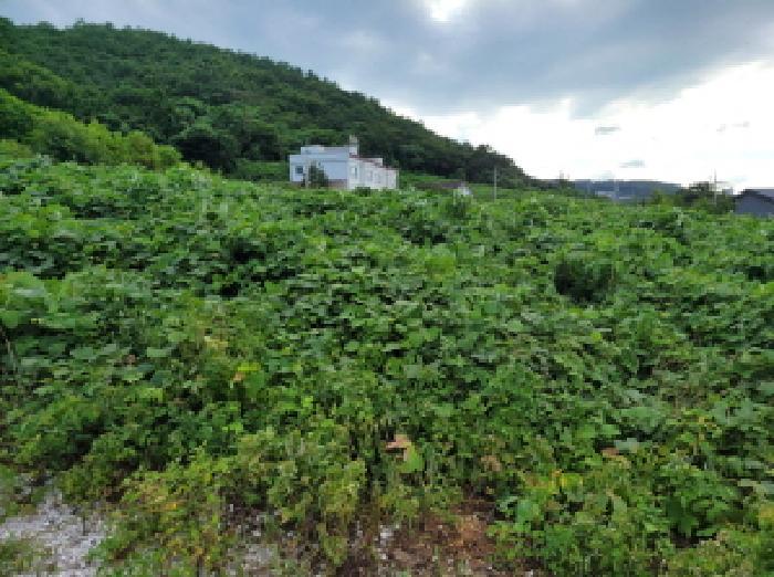 2025타경528 법원경매 사진8 | 전남 여수시 전 경매