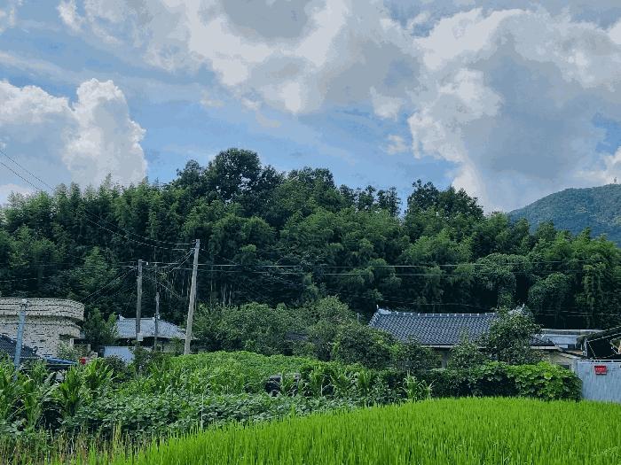 전라남도 보성군 조성면 동촌리 330-1 법원경매 물건 대표사진