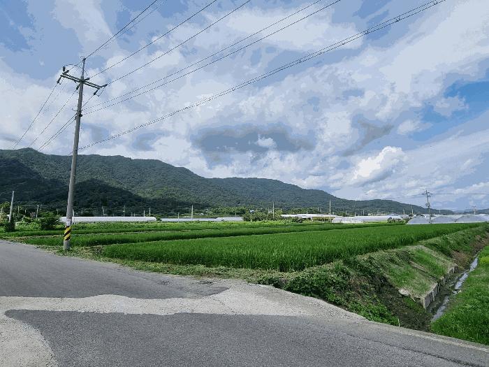 2025타경564 법원경매 사진16 | 전남 보성군 임야 경매