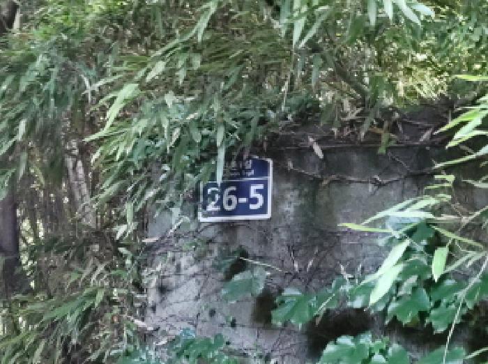 2025타경564 법원경매 사진18 | 전남 보성군 임야 경매