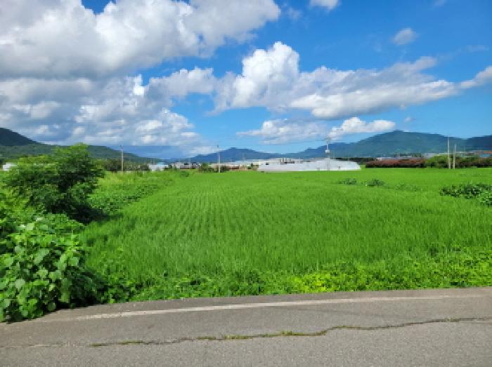 2025타경564 법원경매 사진21 | 전남 보성군 임야 경매