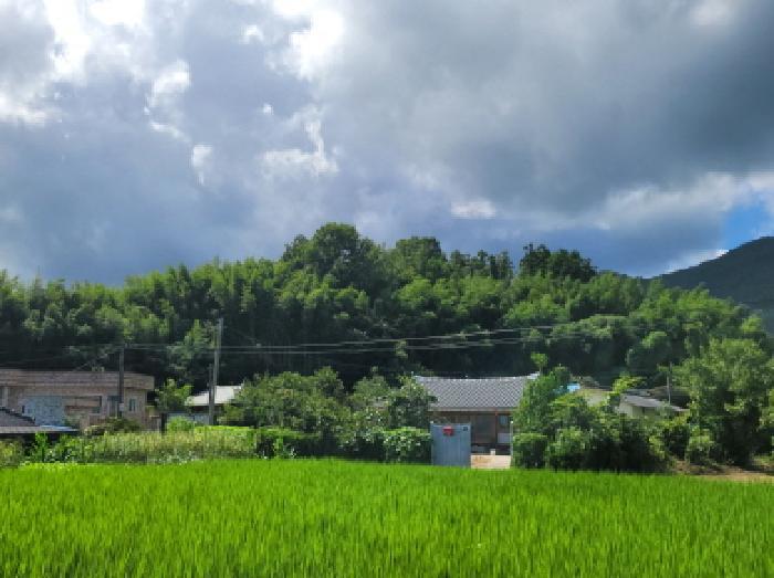 2025타경564 법원경매 사진36 | 전남 보성군 임야 경매