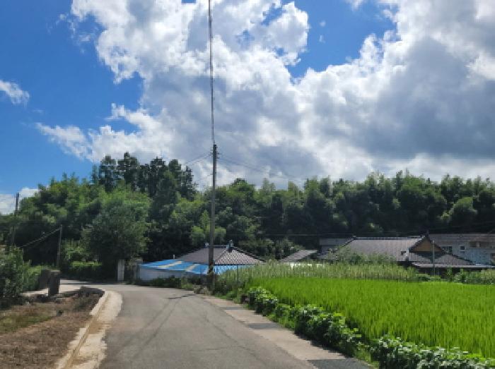2025타경564 법원경매 사진40 | 전남 보성군 임야 경매
