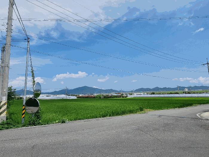 2025타경564 법원경매 사진8 | 전남 보성군 임야 경매