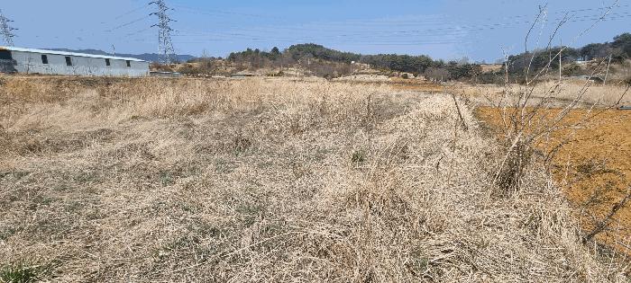 2025타경15595 법원경매 사진3 | 충남 보령시 전 경매