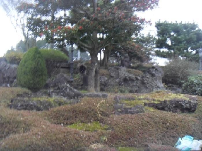 2024타경36307 법원경매 사진20 | 제주 제주시 전 경매