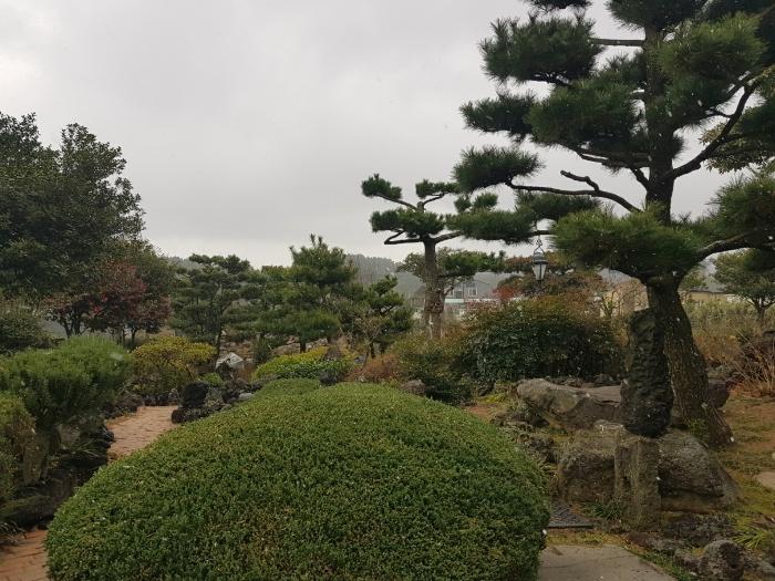 2024타경36307 법원경매 사진3 | 제주 제주시 전 경매