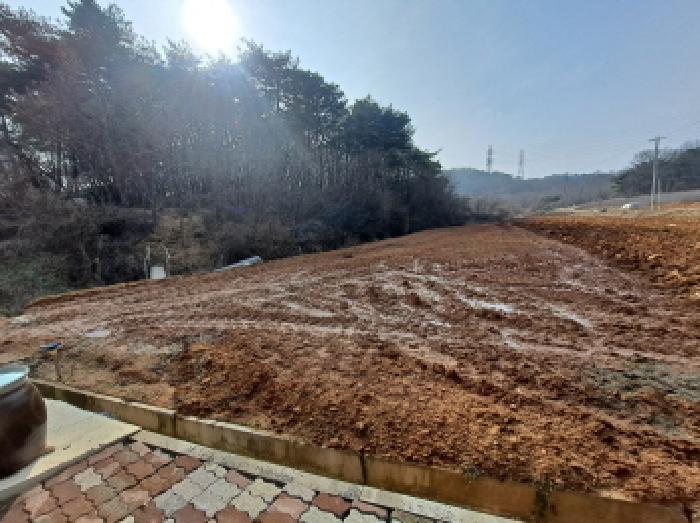 법원경매 2025타경50181 사진9 | 당진시 송악읍 영천리 286 답 경매