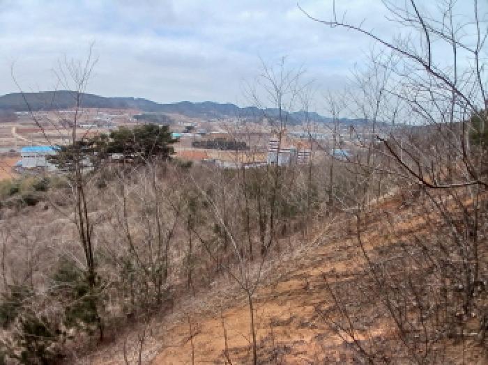 2025타경50365 법원경매 사진13 | 충남 당진시 임야 경매