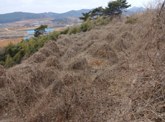 2025타경50365 법원경매 사진20 | 충남 당진시 임야 경매
