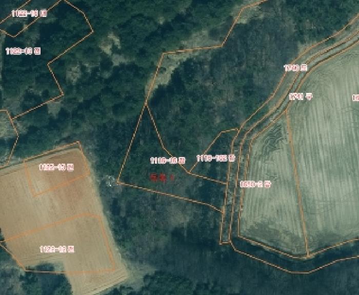 2025타경50426 법원경매 사진3 | 충남 태안군 잡종지 경매