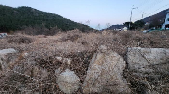 울산광역시 울주군 상북면 등억알프스리 501-2 법원경매 물건 대표사진