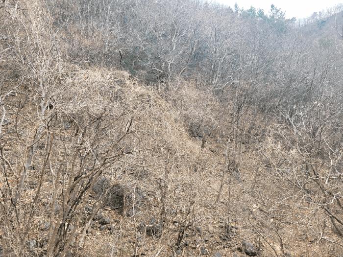경상남도 양산시 원동면 원리 산118 법원경매 물건 대표사진