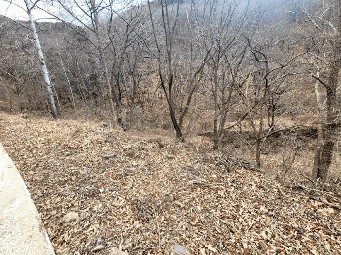 2025타경914 법원경매 사진5 | 경남 양산시 임야 경매