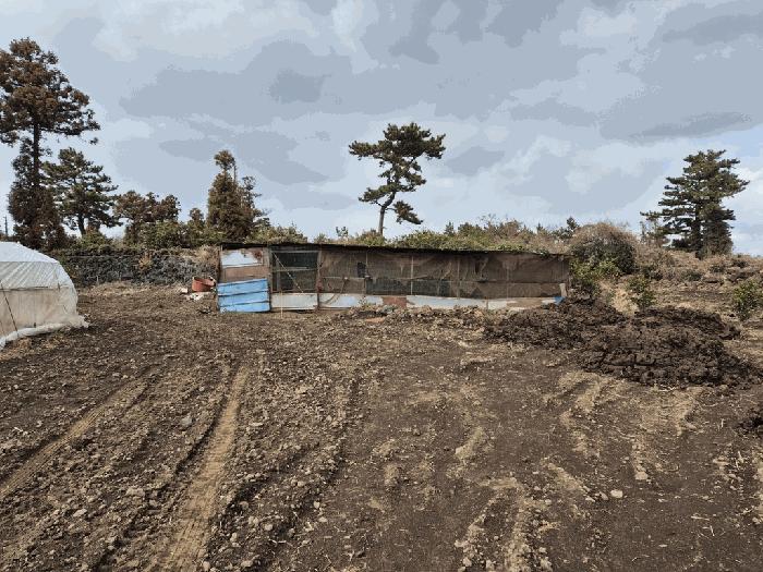 2025타경7313 법원경매 사진2 | 제주 제주시 전 경매