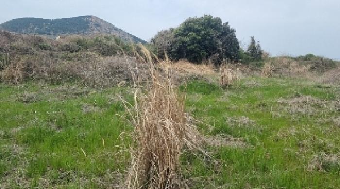2025타경7580 법원경매 사진3 | 제주 제주시 전 경매