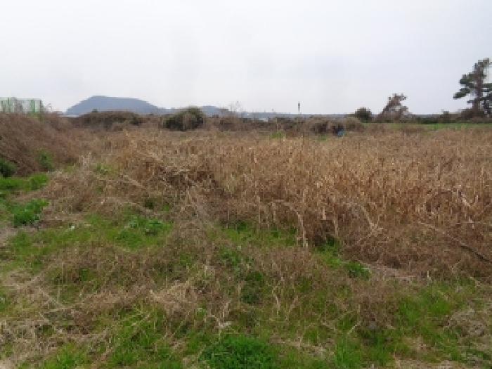 2025타경7662 법원경매 사진8 | 제주 제주시 임야 경매