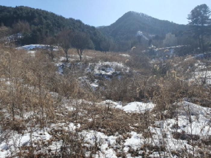 법원경매 2025타경324 사진10 | 가평군 북면 목동리 686-1 대지 경매
