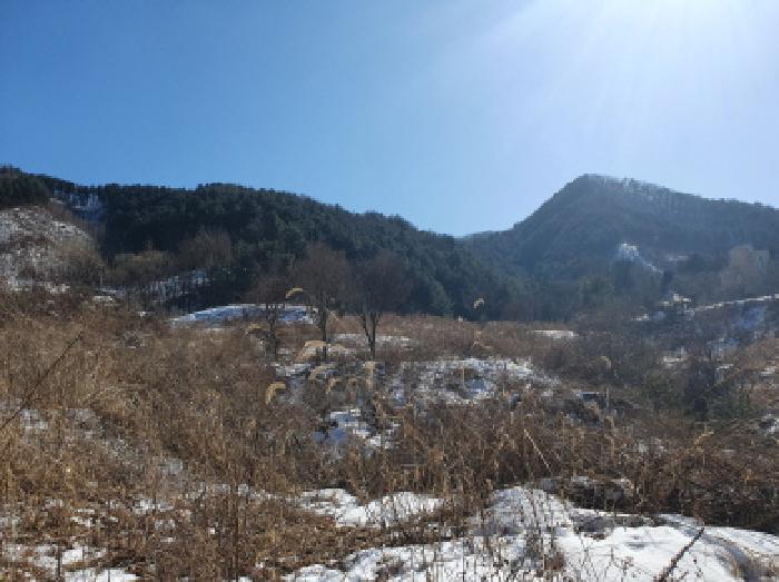 법원경매 2025타경324 사진11 | 가평군 북면 목동리 686-1 대지 경매