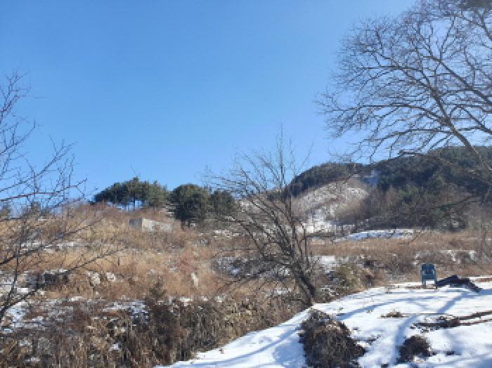 법원경매 2025타경324 사진13 | 가평군 북면 목동리 686-1 대지 경매