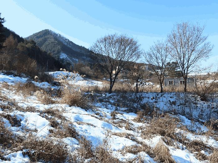 법원경매 2025타경324 사진4 | 가평군 북면 목동리 686-1 대지 경매