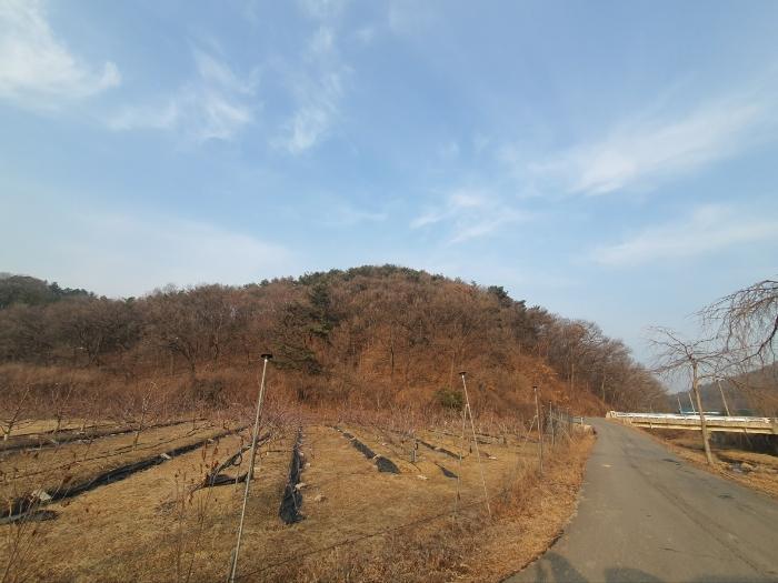 2025타경51201 법원경매 사진16 | 경기 화성시 임야 경매