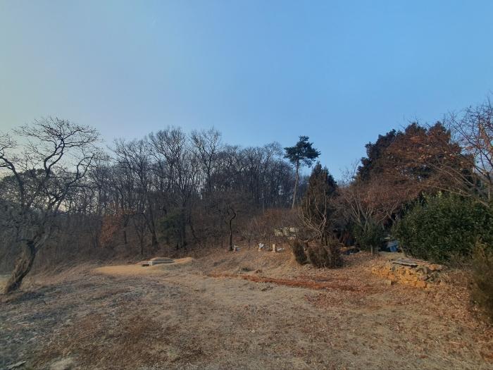 2025타경51201 법원경매 사진8 | 경기 화성시 임야 경매