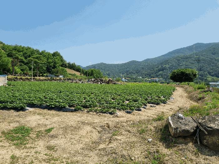 충청남도 금산군 군북면 동편리 156 법원경매 물건 대표사진